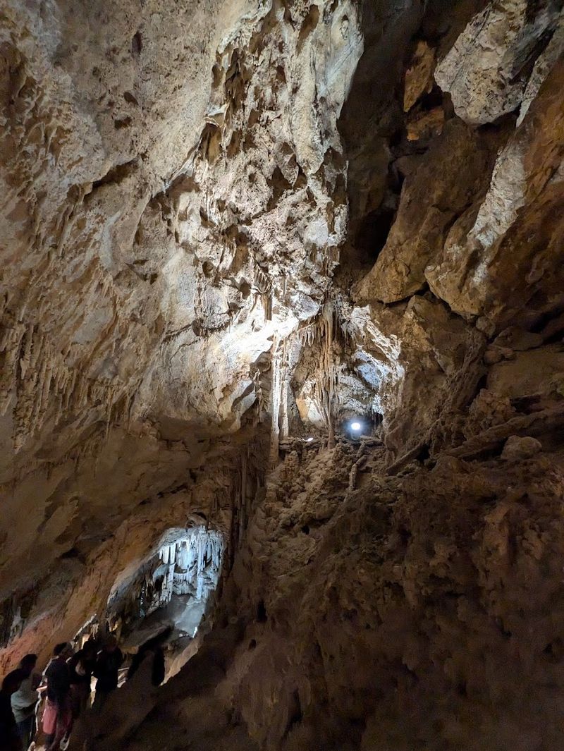 The Bats That Call This Cave Home The Bats That Call This Cave Home