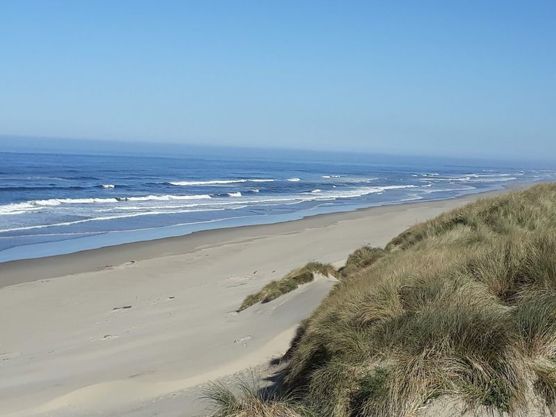 The Beach Access and What You Find There