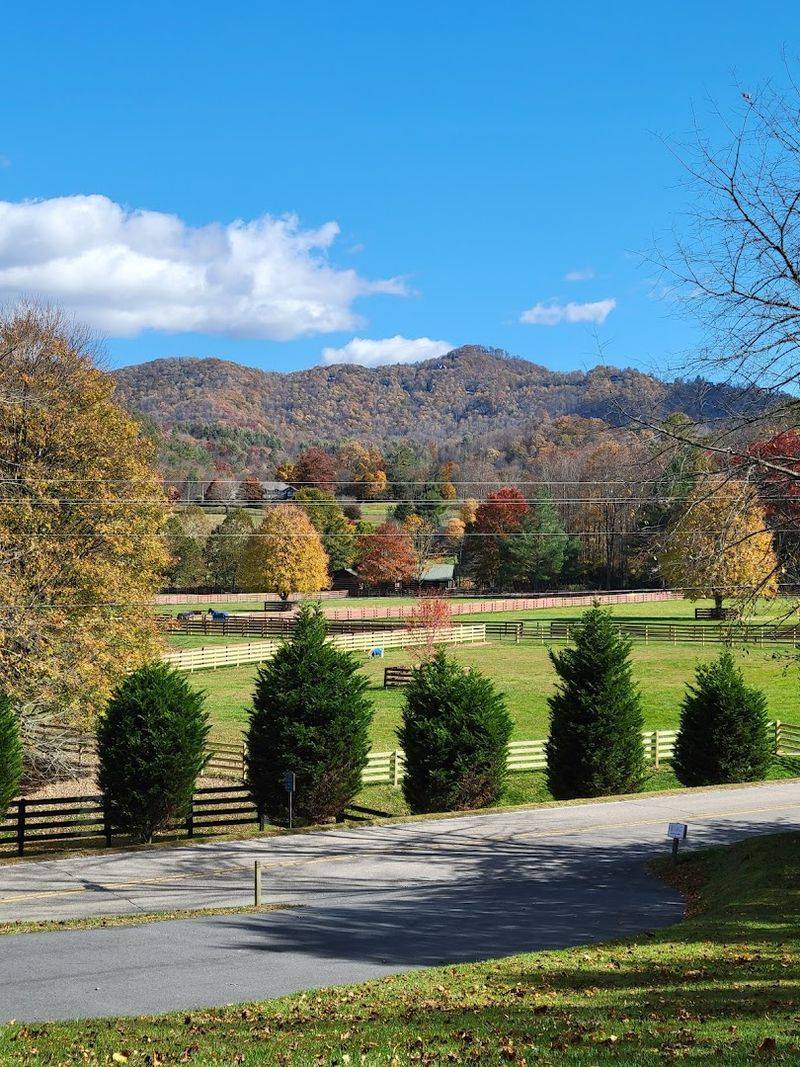 The Best Time of Year to Make the Trip The Best Time of Year to Make the Trip