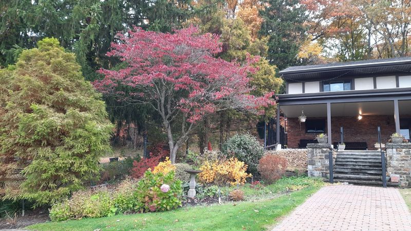 The Best Time of Year to Plan Your Visit