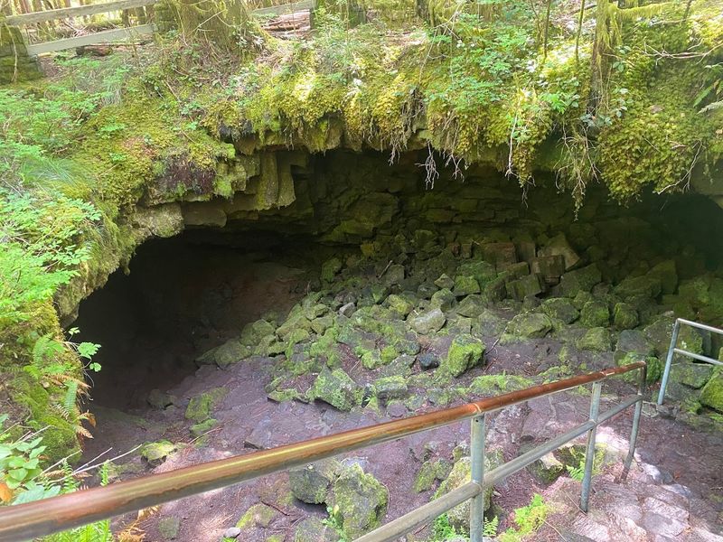 The Best Time of Year to Plan Your Visit