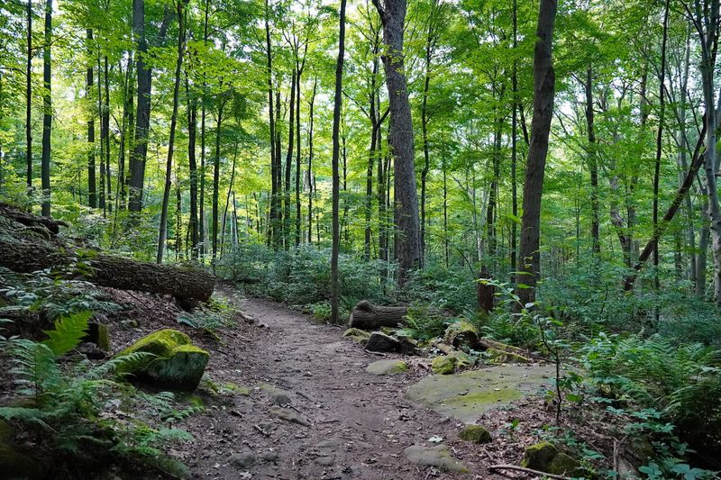 The Best Time of Year to Visit The Best Time of Year to Visit