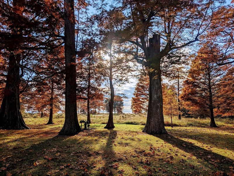 The Best Times to Visit and What Each Season Offers The Best Times to Visit and What Each Season Offers