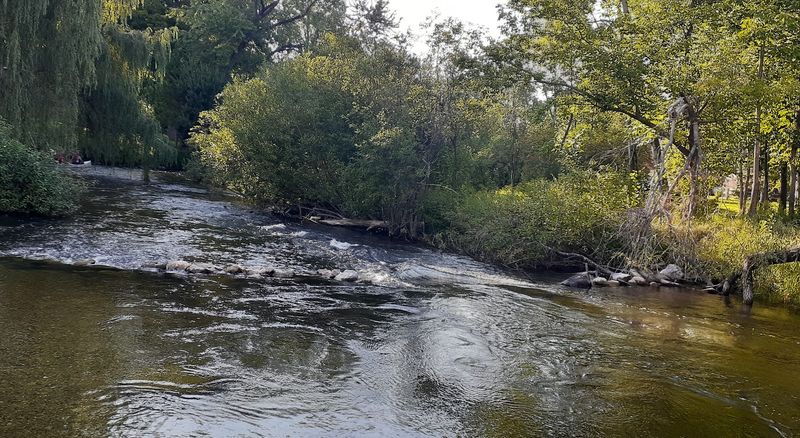 The Betsie River Paddle Experience The Betsie River Paddle Experience