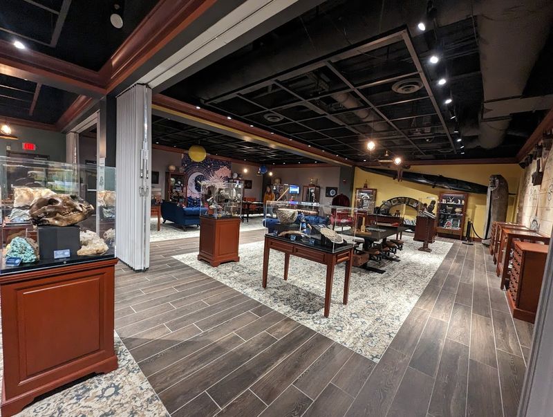 The Bieser Room of Wonder Is Its Own World