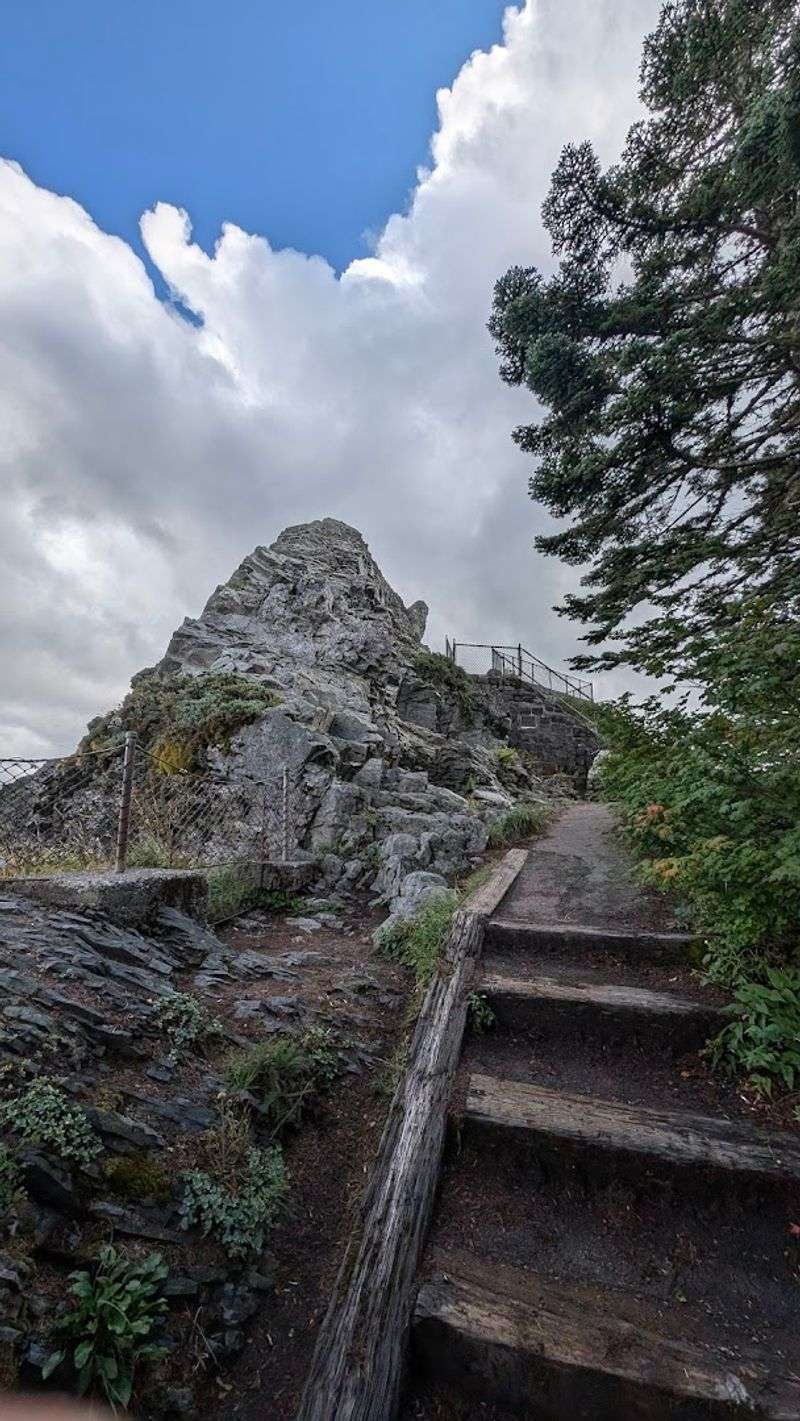 The Big Climb: Elevation, Terrain, and What Your Legs Are In For The Big Climb: Elevation, Terrain, and What Your Legs Are In For