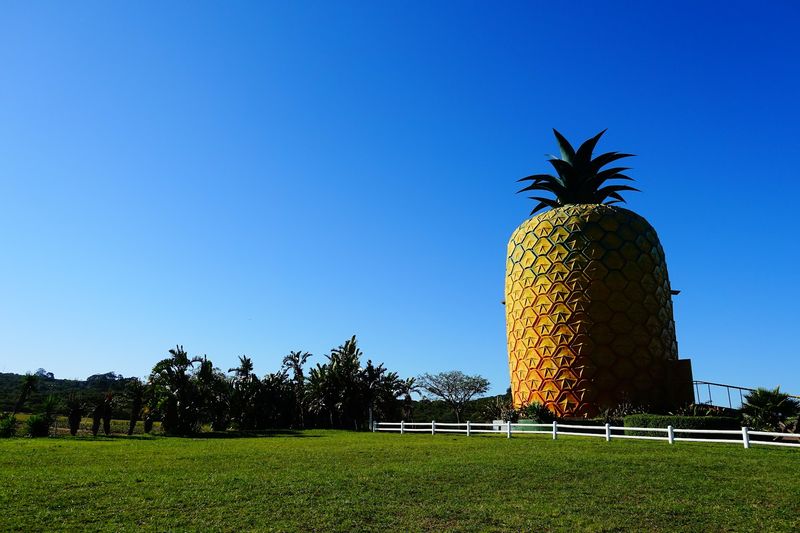 The Big Pineapple - Bathurst, South Africa