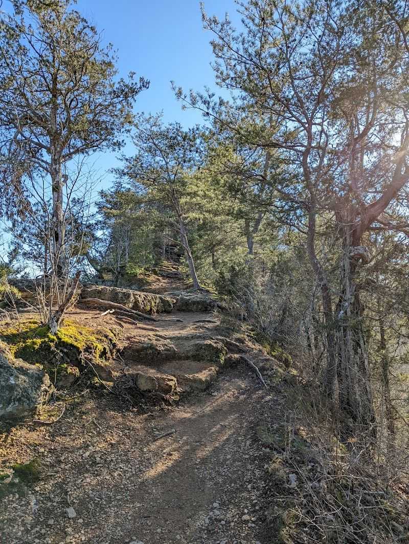 The Bluff Trail and Its 470-Foot Climb