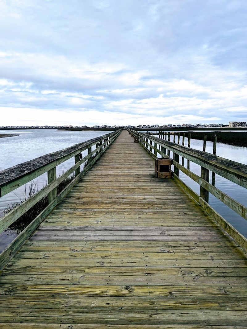 The Boardwalk Itself: A Stroll Worth Taking
