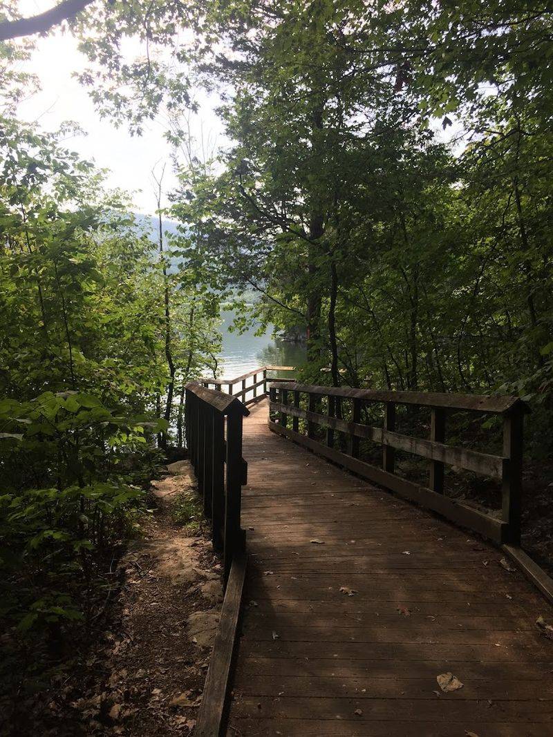 The Boardwalk That Gets You Close Enough
