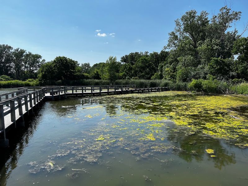 The Boardwalk That Puts You Right Above the Water
