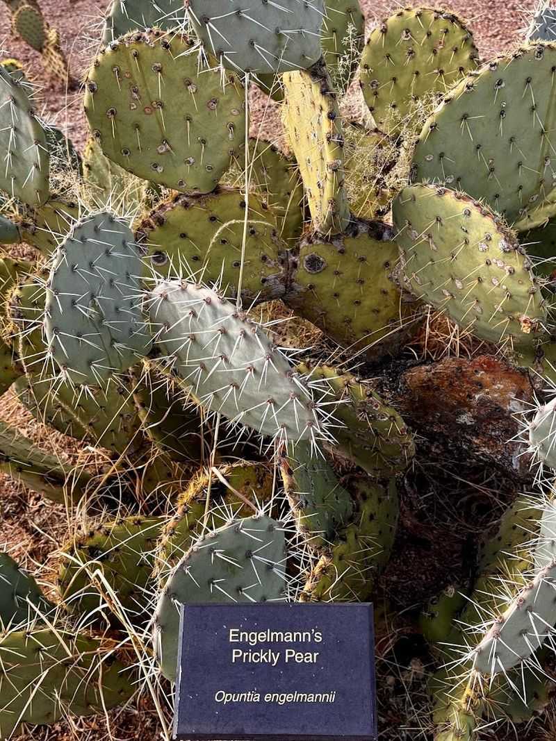 The Botanical Garden Loop Worth Adding to Your Visit The Botanical Garden Loop Worth Adding to Your Visit