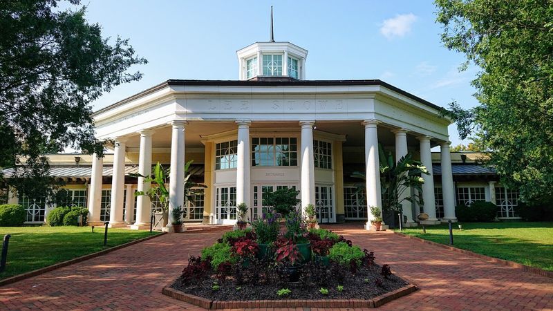 The Café, Gift Shop, and On-Site Amenities