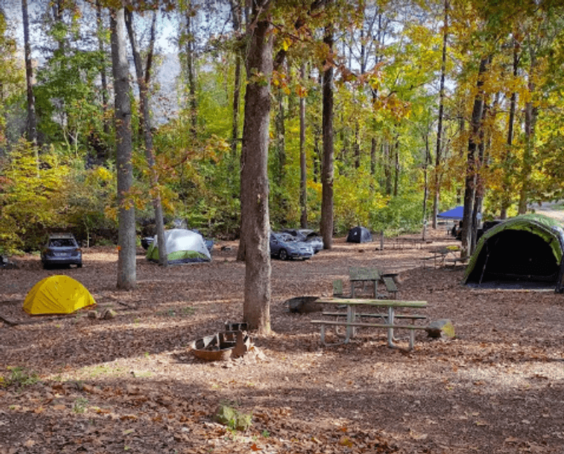 The Campground Setup And What To Expect The Campground Setup And What To Expect