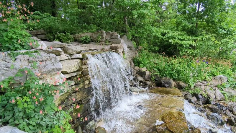 The Cascades, Forest Park, St. Louis, Missouri