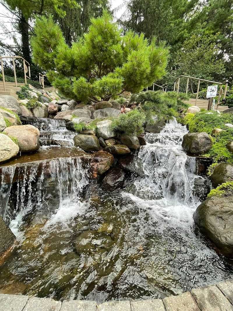 The Cascading Waterfall That Sets the Mood The Cascading Waterfall That Sets the Mood
