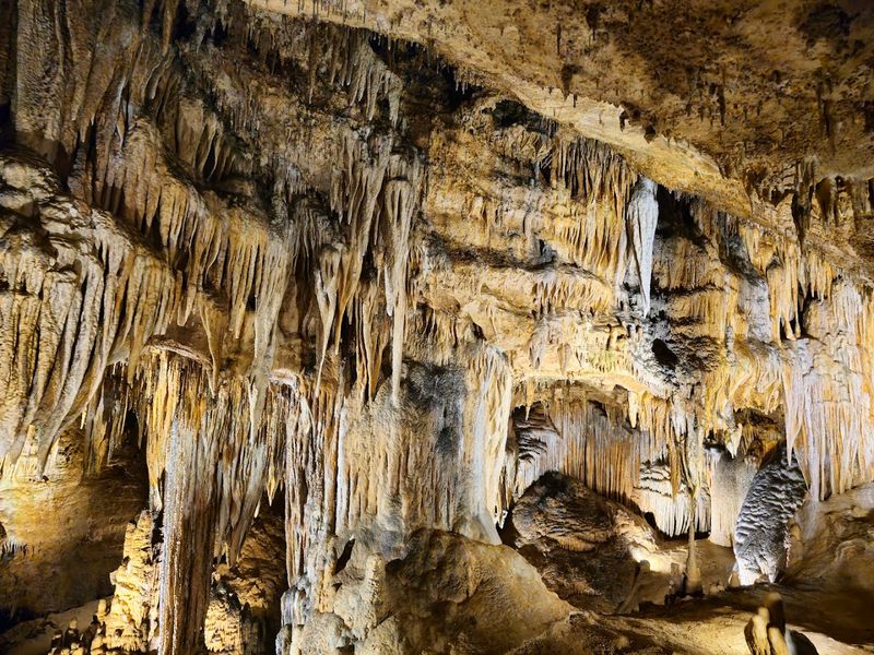 The Cathedral Room: Where the Cave Earns Its Name The Cathedral Room: Where the Cave Earns Its Name
