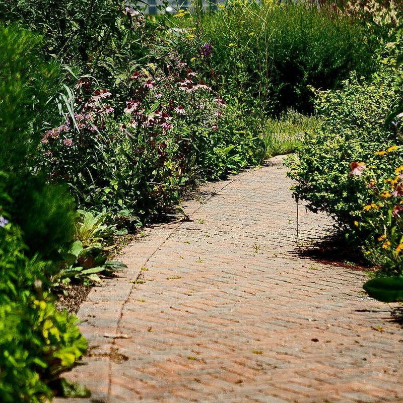 The Charles Dunham Garden's Asiatic Character