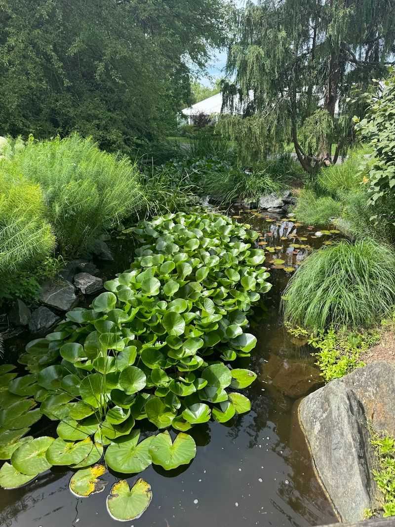 The Children's Garden and Water Features That Kids Absolutely Love The Children's Garden and Water Features That Kids Absolutely Love