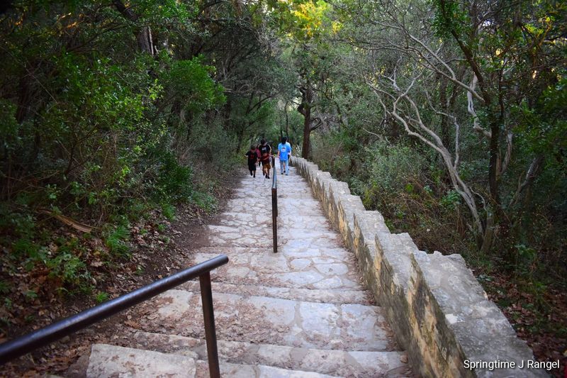 The Climb Up: 100 Steps That Are Worth Every One The Climb Up: 100 Steps That Are Worth Every One