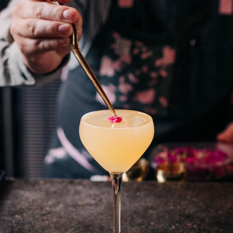 The Cocktail and Drinks Program The Cocktail and Drinks Program