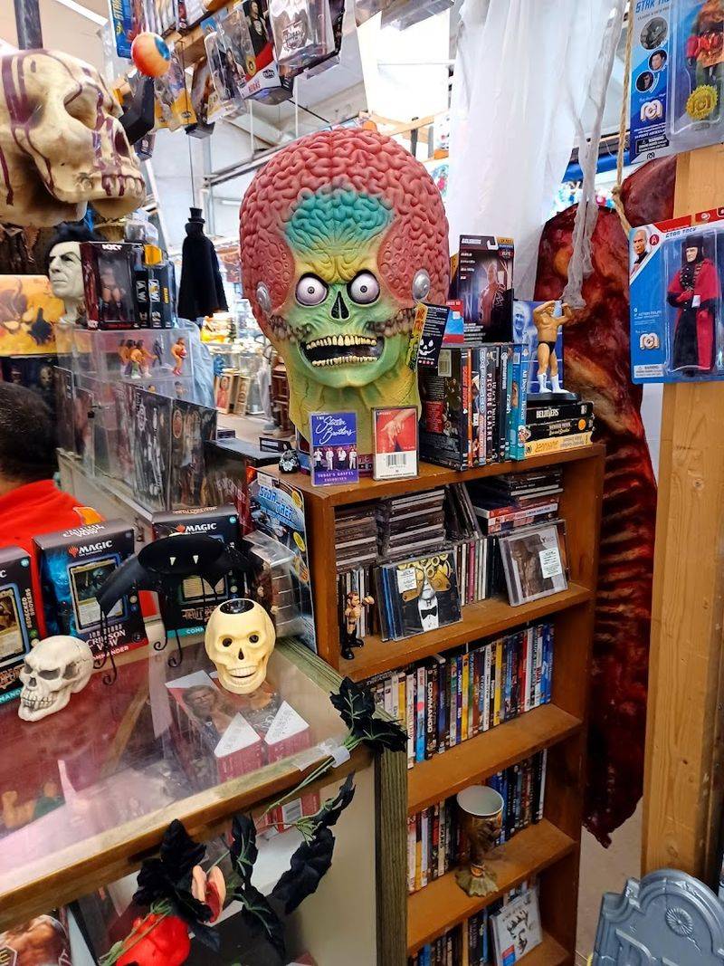 The Collector's Corner: Vinyl, Toys, and Memorabilia The Collector's Corner: Vinyl, Toys, and Memorabilia
