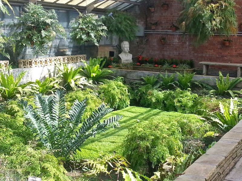 The Community Volunteers Who Keep These Gardens Alive