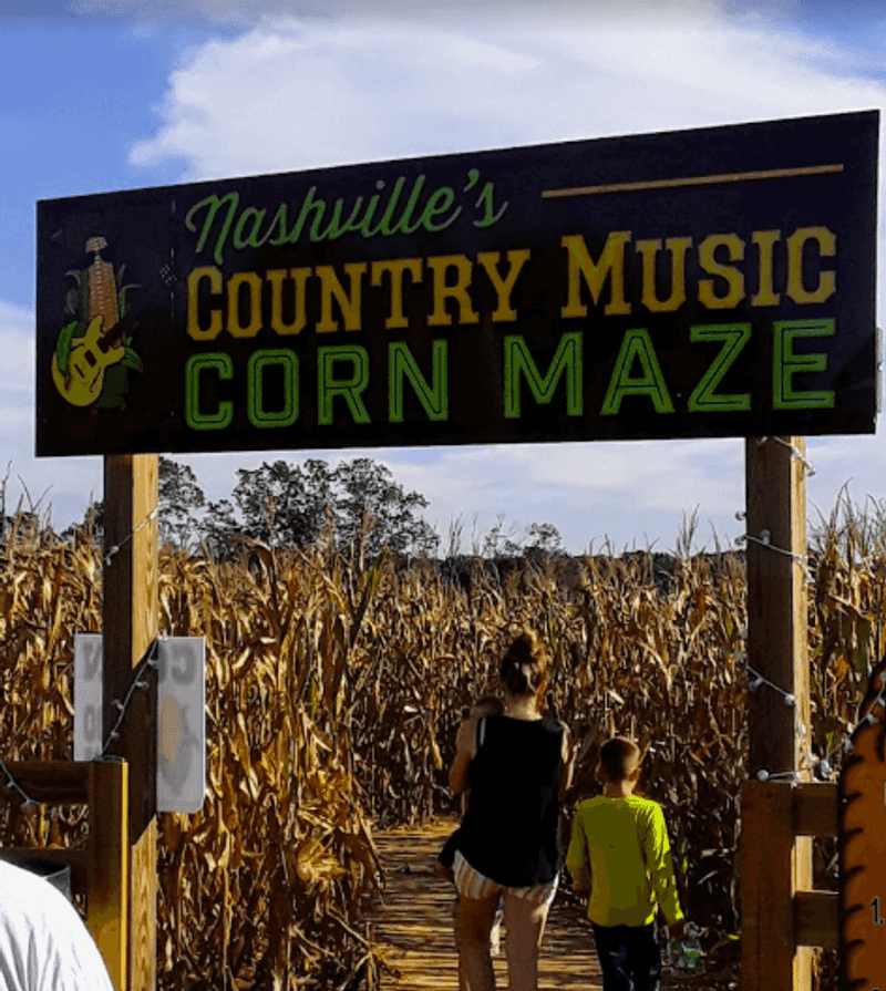The Corn Maze Challenge The Corn Maze Challenge