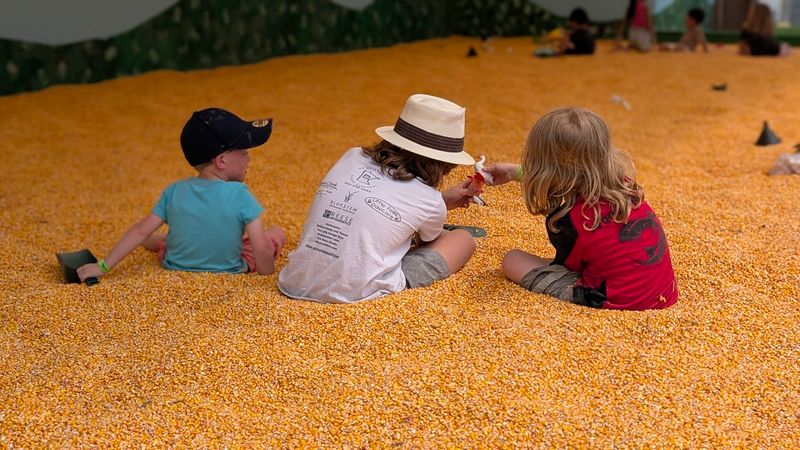 The Corn Pit: A Fan Favorite for All Ages