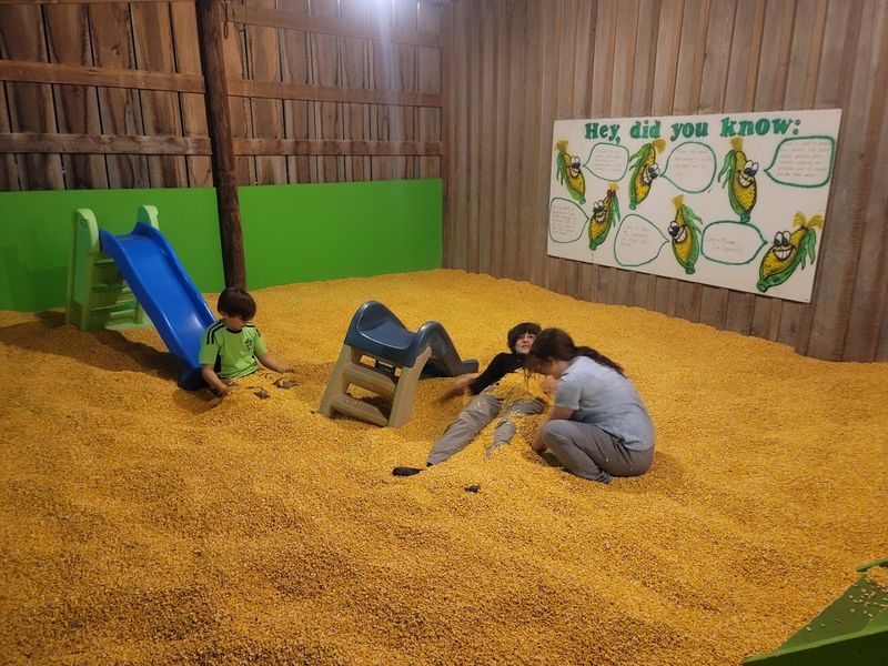 The Corn Pit and Sandbox Adventures The Corn Pit and Sandbox Adventures