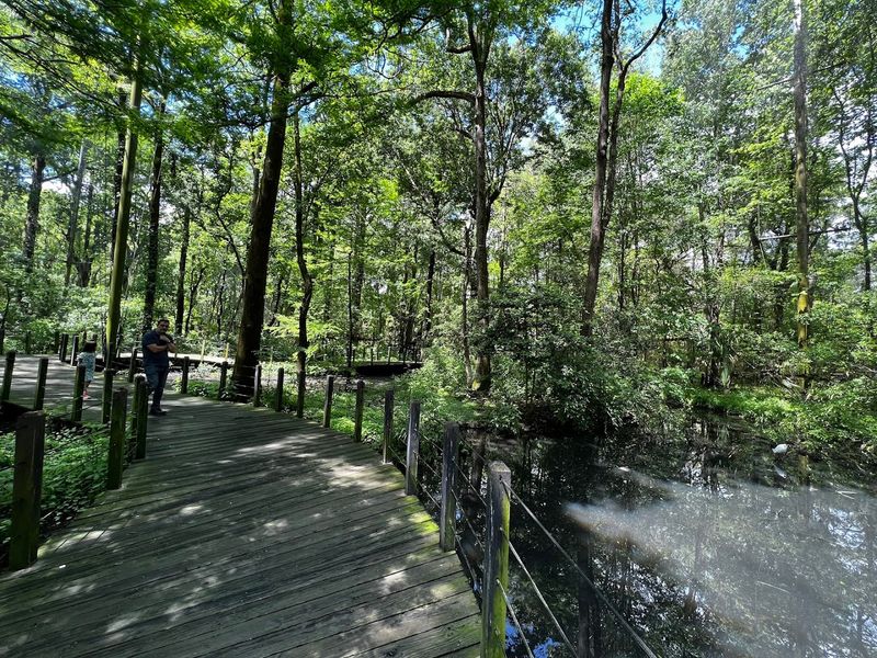The Creek Tour on the Pontoon Boat