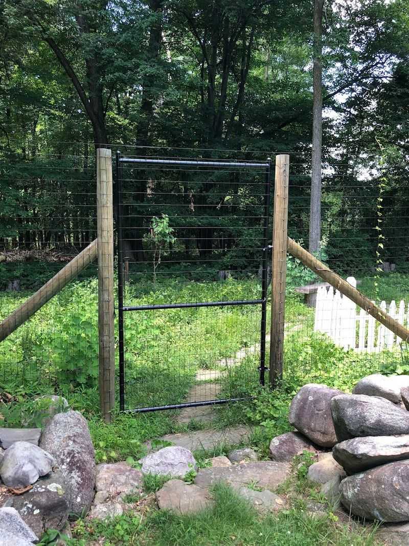 The Deer Exclosure That Changed Everything The Deer Exclosure That Changed Everything