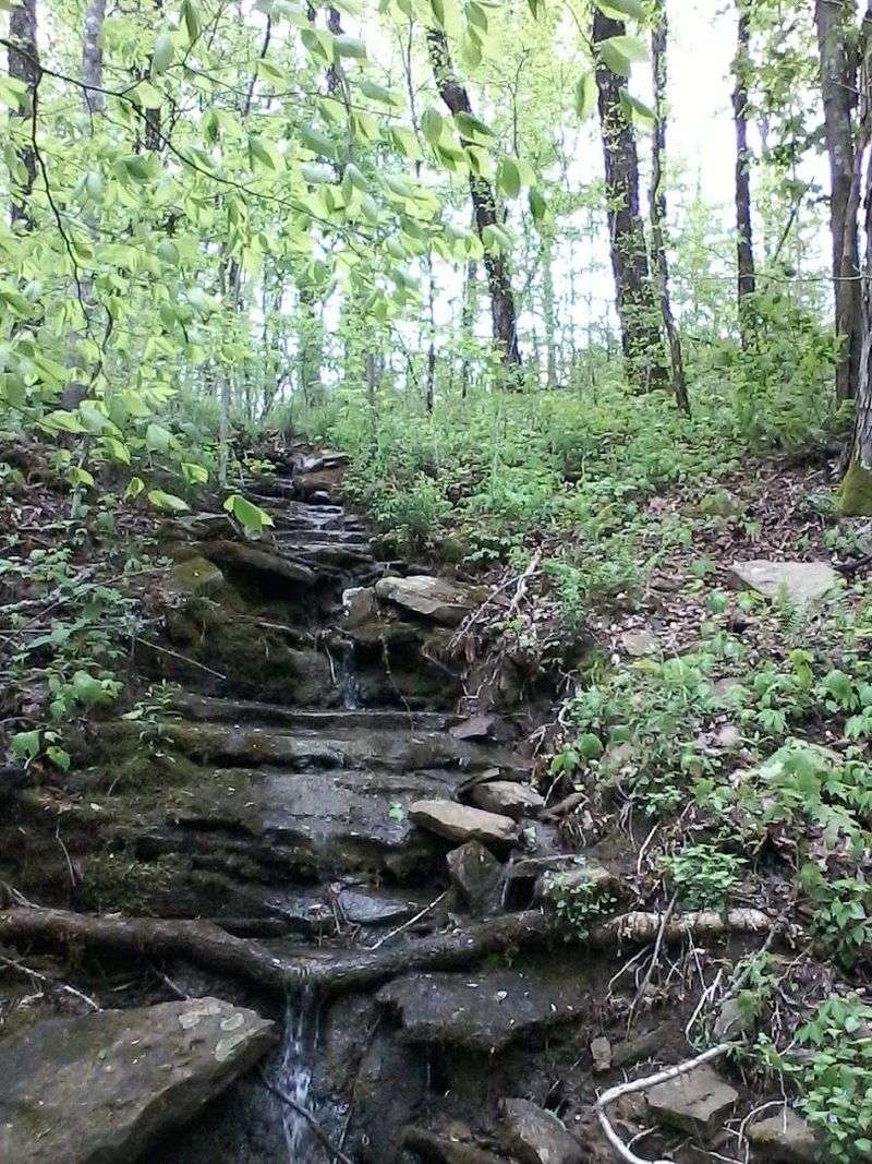 The Descent: What Going Down Actually Feels Like The Descent: What Going Down Actually Feels Like