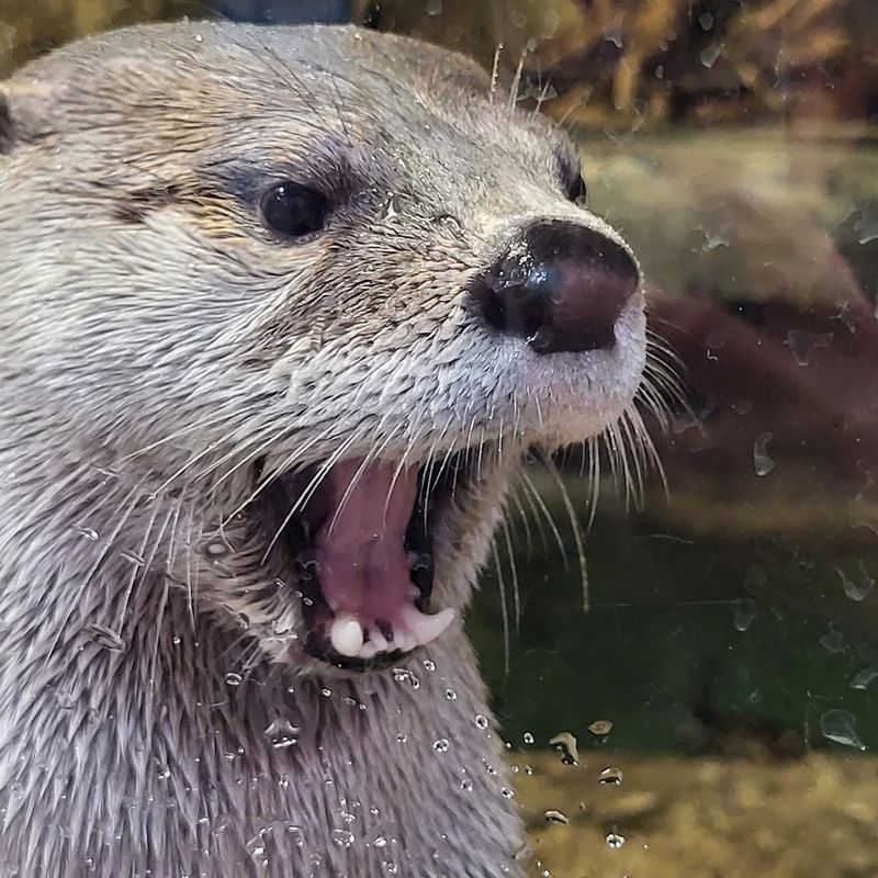 The Discovery Zoo Lives Right Inside the Museum