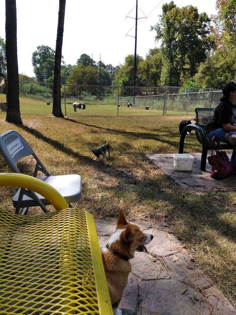 The Dog Park: A Separate World for Four-Legged Visitors The Dog Park: A Separate World for Four-Legged Visitors