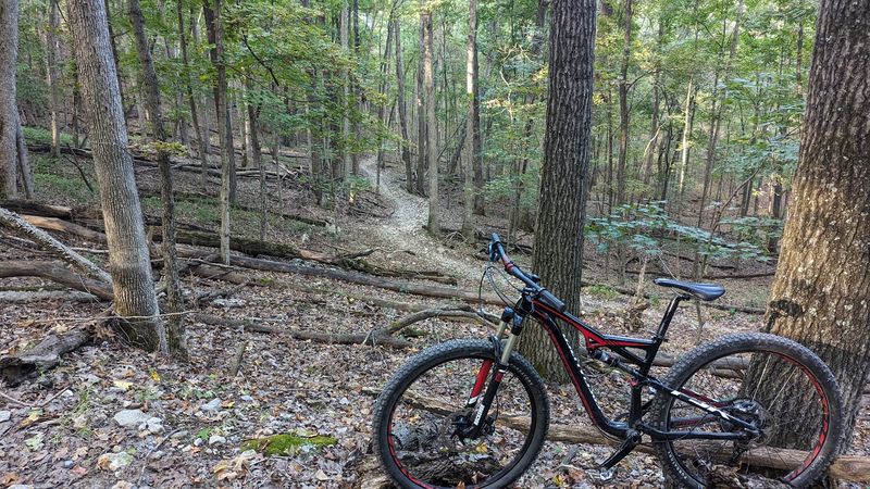 The Dogwood Trail and Why Fast Hikers Love It
