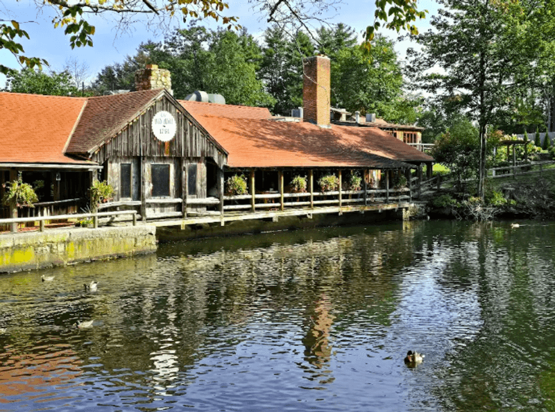 The Duck Pond Is Not Just a Pretty Detail The Duck Pond Is Not Just a Pretty Detail