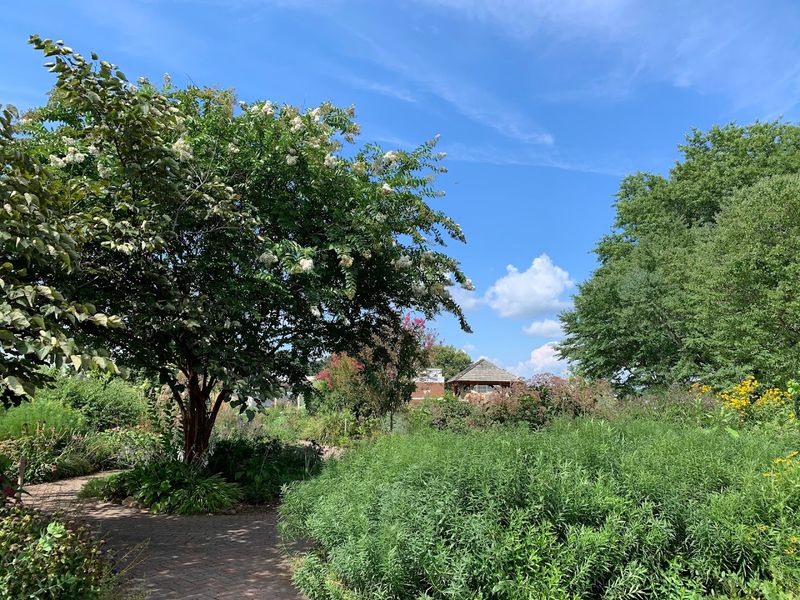 The Emily B. Clark Garden and Its Year-Round Appeal