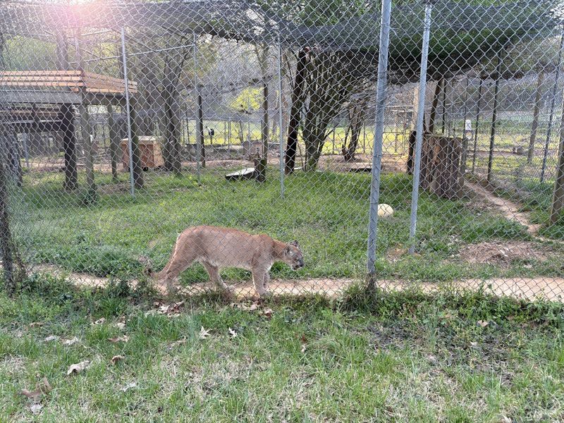 The Enclosures and Animal Welfare Standards The Enclosures and Animal Welfare Standards