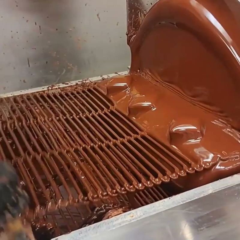 The Ethics Behind the Chocolate The Ethics Behind the Chocolate