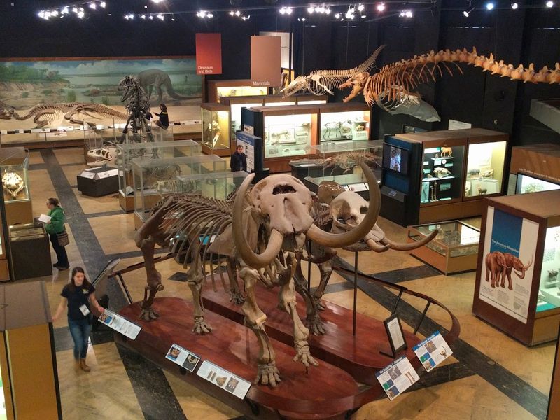 The Exploring Michigan Exhibit and What It Reveals About the Great Lakes State The Exploring Michigan Exhibit and What It Reveals About the Great Lakes State