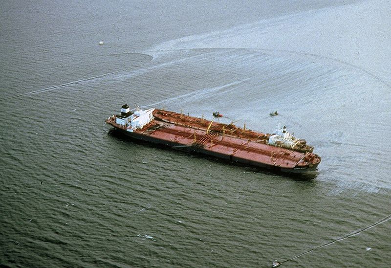 The Exxon Valdez Oil Spill (1989)