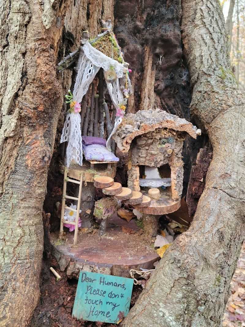 The Fairy Trail That Kids Cannot Stop Talking About The Fairy Trail That Kids Cannot Stop Talking About