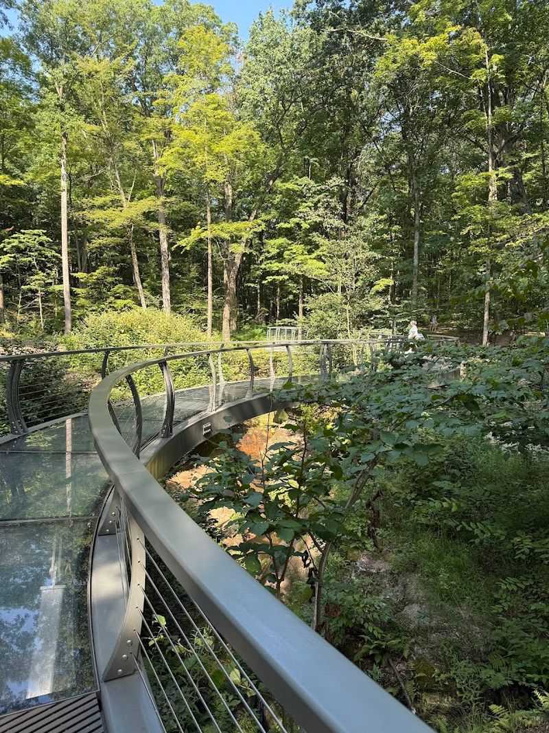 The Falls Edge Glass Walkway: A New Landmark Above the Falls The Falls Edge Glass Walkway: A New Landmark Above the Falls