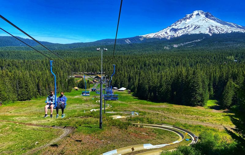 The Famous Half-Mile Dual Alpine Slide The Famous Half-Mile Dual Alpine Slide