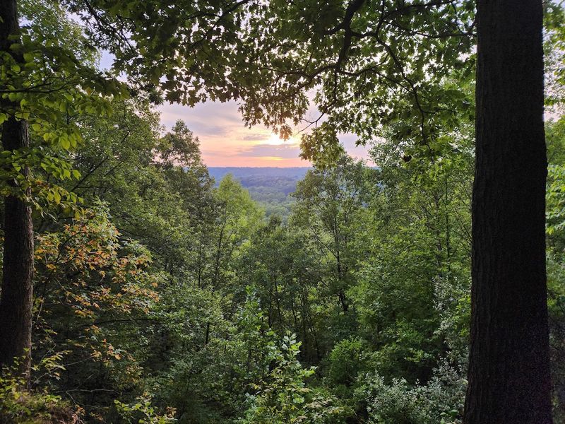 The Famous Overlook Hike on the Property The Famous Overlook Hike on the Property