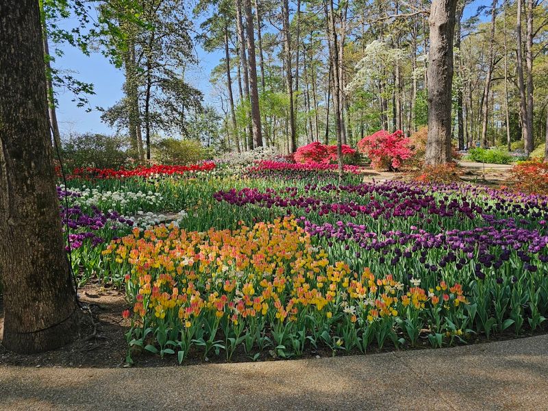 The Famous Tulip Extravaganza That Draws Crowds Every Spring