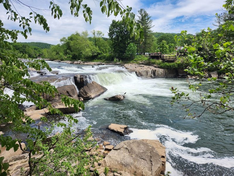 The Ferncliff Peninsula: A National Natural Landmark Worth Every Step