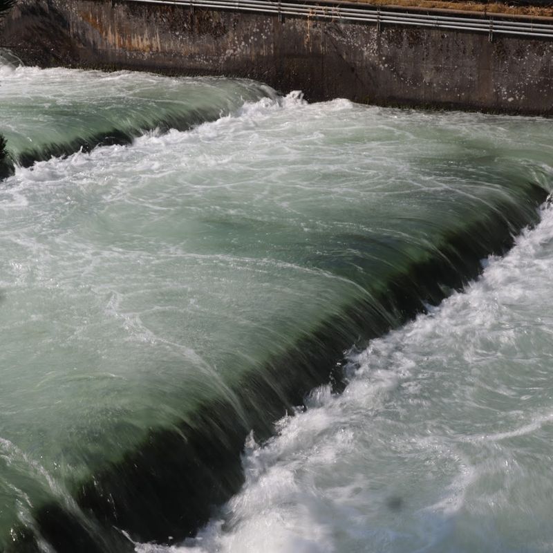 The Fish Ladder at Bradford Island Visitor Center