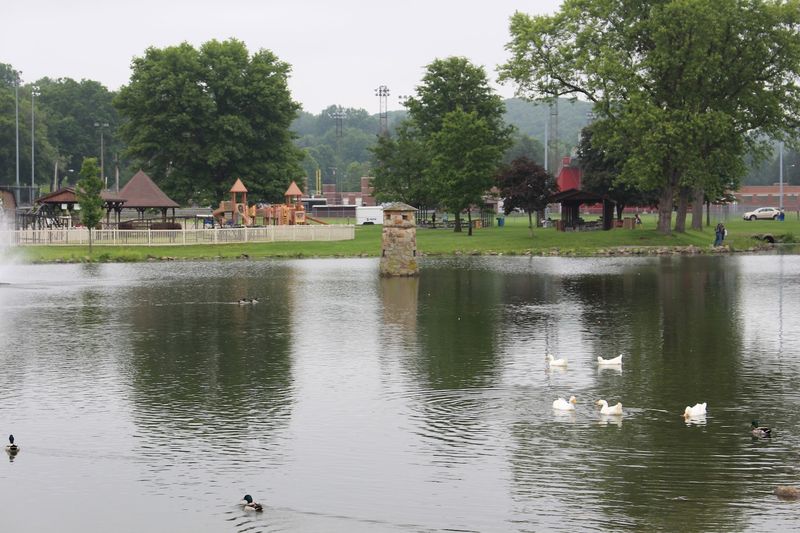The Fishing Pond